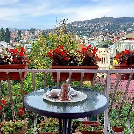 Mayor's View *