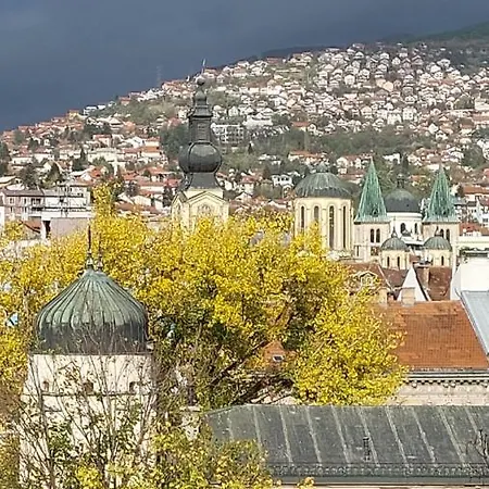 Mayor's View *